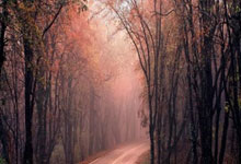 '天涯社区下载app'的那些小秘密，宝妈宝爸快来看看！