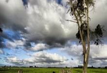 '天涯社区下载app'的那些小秘密，宝妈宝爸快来看看！