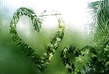 '天涯社区下载app'的那些小秘密，宝妈宝爸快来看看！